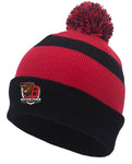 Fold Over Beanie (two colors)